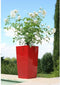 Bloempot Riviera Rood Plastic Vierkant 29 x 29 x 52 cm 29 x 29 cm