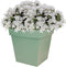 Bloempot Toscane vierkant kunststof groen L32 x B32 x H32 cm - 22 liter - Bloempotten/plantenpotten