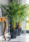 Bloempot Wave - Antraciet - Binnen & Buiten - Plantenbak - Bloembak - Tuin - Decoratie - Moestuin
