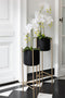 BLOEMPOTHOUDER+VT MET ZW/GD S (28x28x65cm)