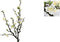Bloesem tak Quince -Kunst bloesem tak wit - L72,5B17,5H3,75CM