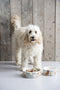 Blond Amsterdam - Dier - Voerbak - Hond - Ø 20 cm
