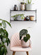 Bloomingville - North Plank - Zwart - MDF