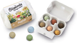 Blossombs Bloembommetjes Eierdoosje - 6 Zaadbommetjes - Cadeau