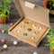 Blossombs Bloembommetjes Giftbox Medium - 9 Zaadbommetjes - Cadeau voor Bijen en Vlinders
