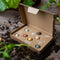 Blossombs Bloembommetjes Giftbox Small - 7 Zaadbommetjes - Cadeau