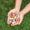 Blossombs Zaadbommetjes in Kraft Zak - 25 Bloembommetjes - Mix - Cadeau voor Vlinders en Bijen