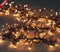 CBD LED CLASSIC CLUSTER LIGHTS 1536L/9M - 4M AANLOOPSNOER ZWART - BI-BUI TRAFO TIMER 8/16U