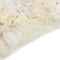 vidaXL - Schapenvacht - 70x100 - cm - crèmekleurig