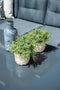 Blue bird lounge-diningset - 5-delig - links - grey - reflex black