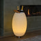 Bluetooth Speaker Kooduu + LED Lamp + Wijnkoeler Synergie 65 (large)