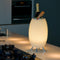 Bluetooth Speaker Kooduu + LED Lamp + Wijnkoeler Synergie 65 (large)