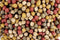 BluFeed Visvoer - Multi Mix 6mm - 2kg