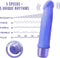 Blush Vibrator Love Toy Luxe Plus Arise Periwinkle Paars