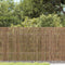 vidaXL - Tuinscherm - 600x80 - cm - riet