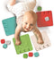 Clementoni Soft Clemmy - Sensory Path - Speelkleed - Baby Speelmat - Met Stapelblokken - 6-36 maanden