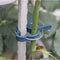 Gardlov Plantklemmen - 108 stuks