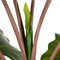 Decoratieve plant PVC Ijzer 130 cm