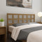 vidaXL - Hoofdbord - 145,5x4x100 - cm - massief - grenenhout - honingbruin