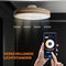 WERYOU® illuminAIR - Plafondventilator - RGB Ledlamp - Afstandsbediening - Hout Design - Wit