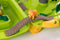 Starplast Jungle Water Fun Trolley Waterbaan - Koffer - incl. accessoires