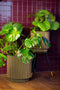 Capi Europe - Vaas cilinder Groove NL - 35x38 - Antraciet - Opening Ø29 - Bloempot voor binnen en buiten - Levenslang garantie - Breukbestendig - 100% Recyclebaar - CO2 Neutraal geproduceerd - KGVZ882