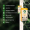 Body & Mind Botanicals - Gember Hennep Thee - Vegan & Biologisch - Welzijnsproduct - 10 Theezakjes - 350mg CBD per Doos