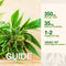 Body & Mind Botanicals - Jasmijn Hennep Thee - Groene Thee - Vegan & Biologisch - Welzijnsproduct - 10 Theezakjes - 350mg CBD per Doos