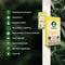 Body & Mind Botanicals - Kamille Hennep Thee - Vegan & Biologisch - Welzijnsproduct - 10 Theezakjes - 350mg CBD per Doos