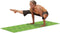 Body-Solid Tools Premium Yoga Mat BSTYM10