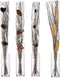 Boeketten (100 cm)