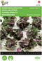 Boerenkoolspruiten, Kalettes Garden Mix F1