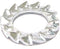 Bofix tandveerring xtrabike m6 zink