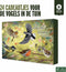 Adventskalender 2024 BirdBuffet Vogelvoer