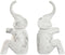 Bokstöd Home ESPRIT Hars Olifant 14,5 x 9 x 29,5 cm