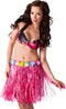 Boland - Hawaïrokje roze (45 cm) - Volwassenen - - Hawaii - Themafeest - Strandfeest - Carnaval