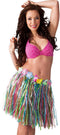 Boland - Hawaïrokje veelkleurig (45 cm) - Volwassenen - - Hawaii - Themafeest - Strandfeest - Carnaval