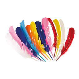 Boland Indianen veren, 12st.