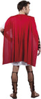 Boland - Kostuum Gladiator (M/L) - Volwassenen - Gladiator - Griekse en Romeinse Oudheid