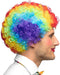 Boland - Pruik Clown Curly veelkleurig Multi - Afro - Kort - Unisex - Clown - Clown - Circus