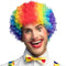 Boland - Pruik Clown Curly veelkleurig Multi - Afro - Kort - Unisex - Clown - Clown - Circus