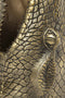 Bold Monkey See You Later Alligator bijzettafel - Goud