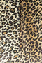 Bold Monkey Where The Sun Doesn't Shine loungestoel panter - Multi colour