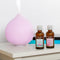 Boles d'olor - geurolie 50 ml - Frosted Berries