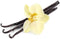 Boles d'olor - geurolie 50 ml - Vainilla (Vanille)