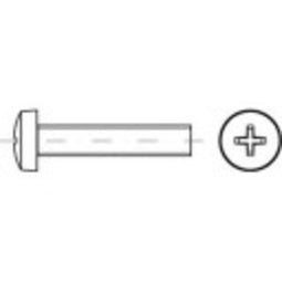 Bolk.cyl.s DIN7985 4.8 M 5x6 -H (200)