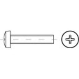Bolk.cyl.scDIN7985 4.8 M 2,5x30 -H (200)