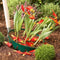 Bollenmand dia. 22 cm 3 stuks