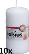 Bolsius Stompkaarsen 10 st 120x58 mm wit