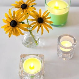 Bolsius - True Scents - Maxi - Geurtheelichten - 8 stuks per verpakking - Clear cup - Apple Cinnamon